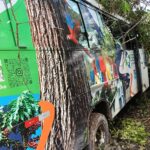 onibus-saude-machadinho-doeste-acidente