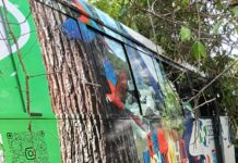 Ônibus da Saúde de Machadinho D’Oeste sai da pista; quatro ficam feridos onibus-saude-machadinho-doeste-acidente